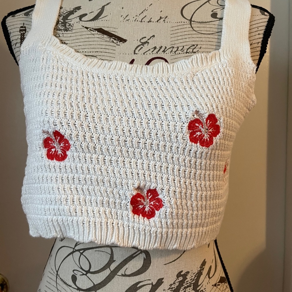Wild fable crop top